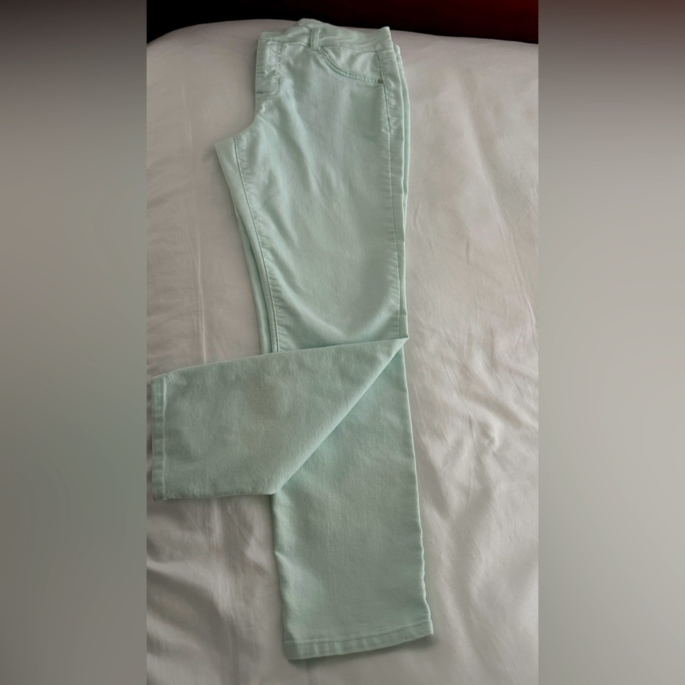 Mint Green Cotton Blend Pants